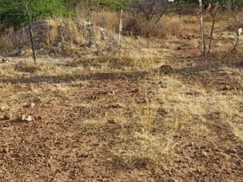 Venta Terreno Col. F.O.S. Virgen Durango