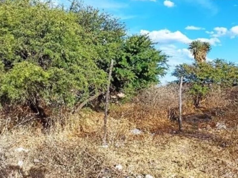 Venta Terreno Col. Virgen Durango