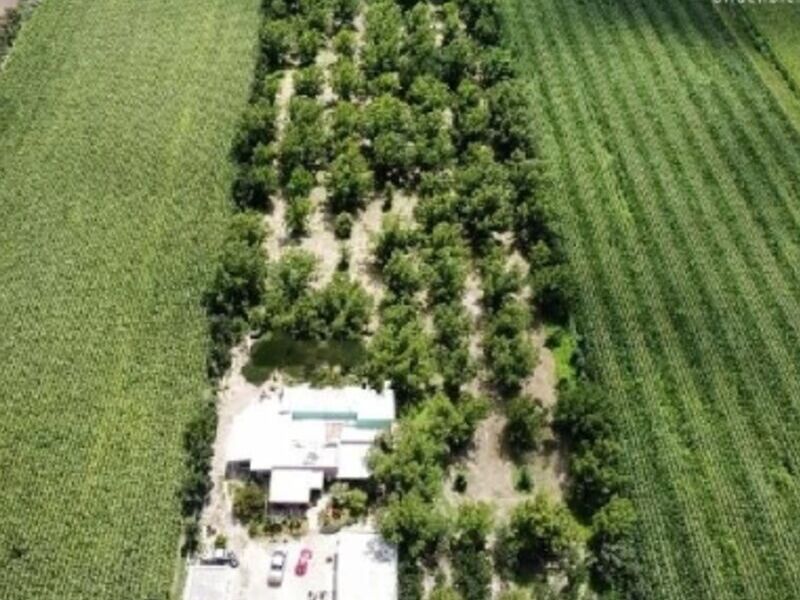 Venta Terreno Salida Mezquital Durango