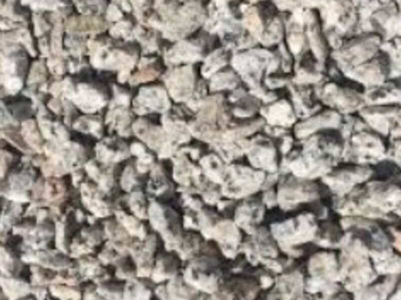 Gravillas en Yucatán 