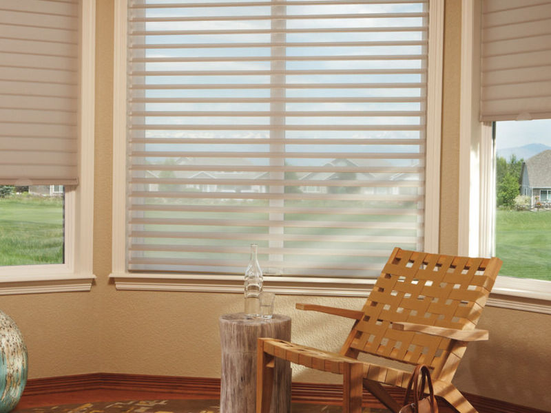 Cortinas horizontales para la Sala