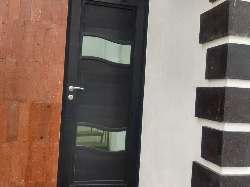 PUERTA DE ALUMINIO NEGRA EN HIDALGO