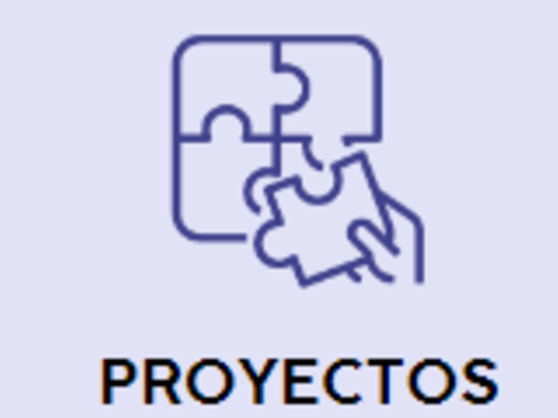 PROYECTOS