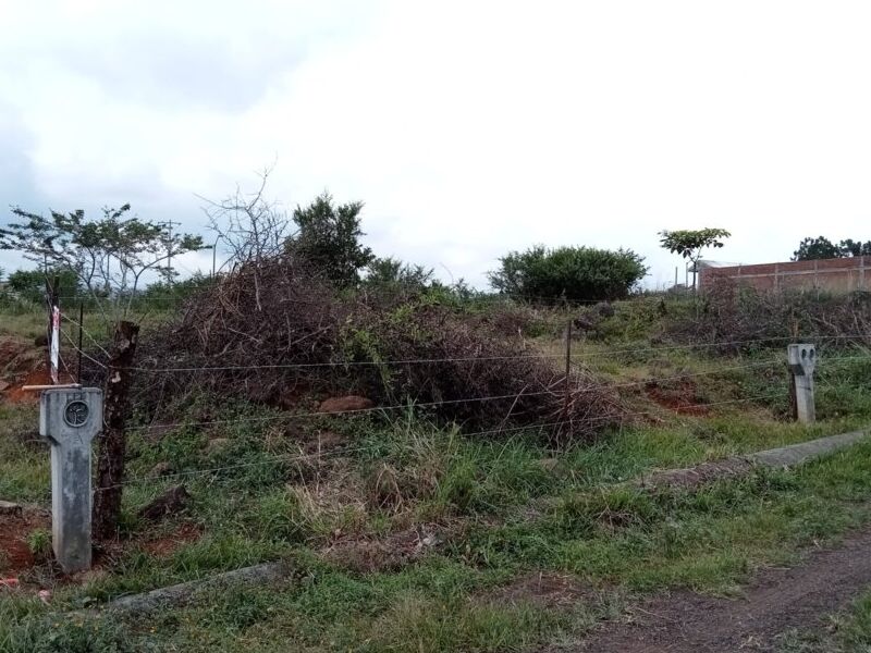 Venta terreno taretan Michoacán