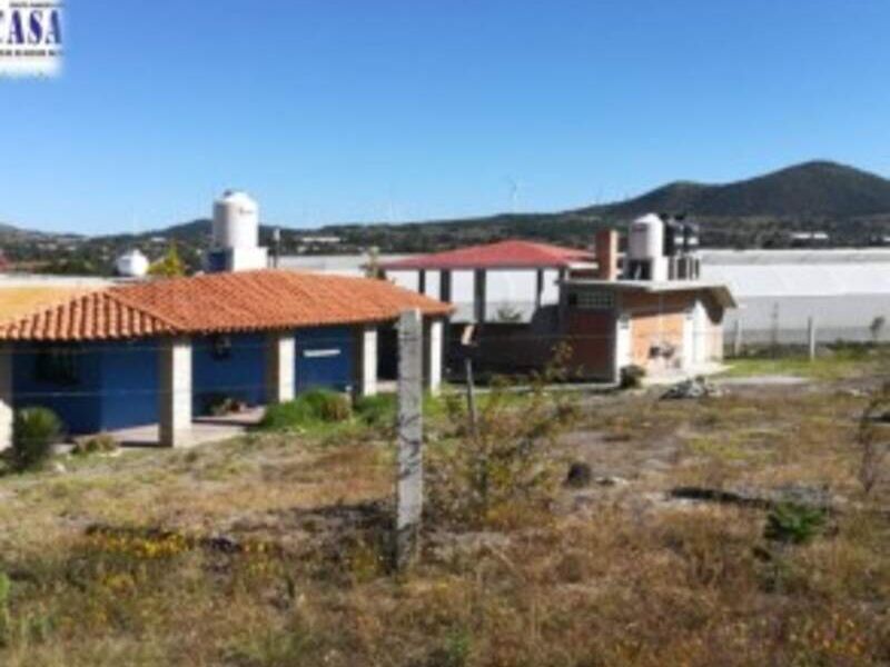 Venta parcela agrícola Tehuacán
