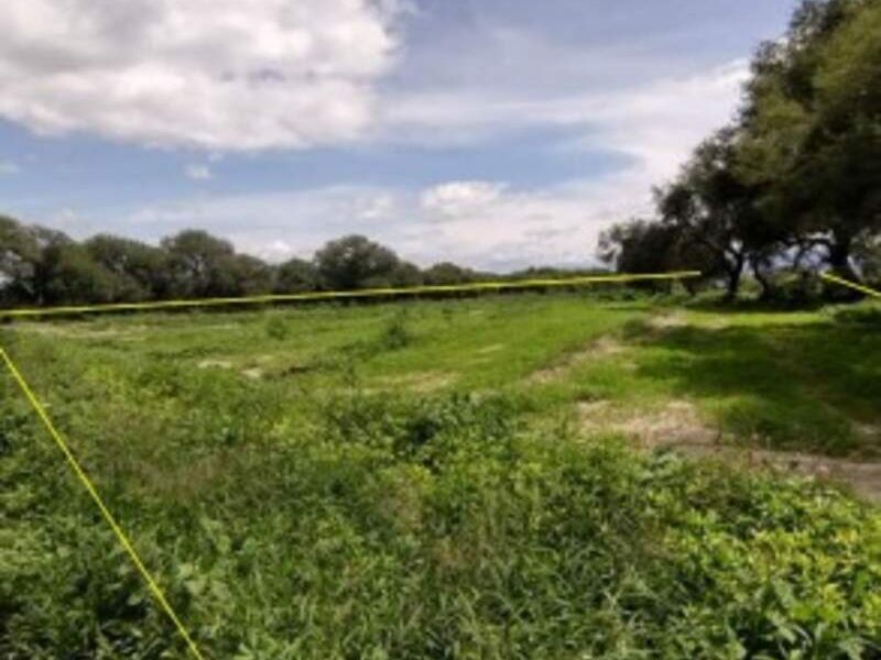 Venta parcela agrícola BUAP Tehuacán
