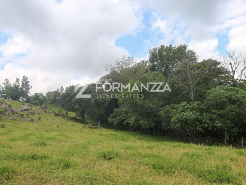 TERRENO COFRADÍA