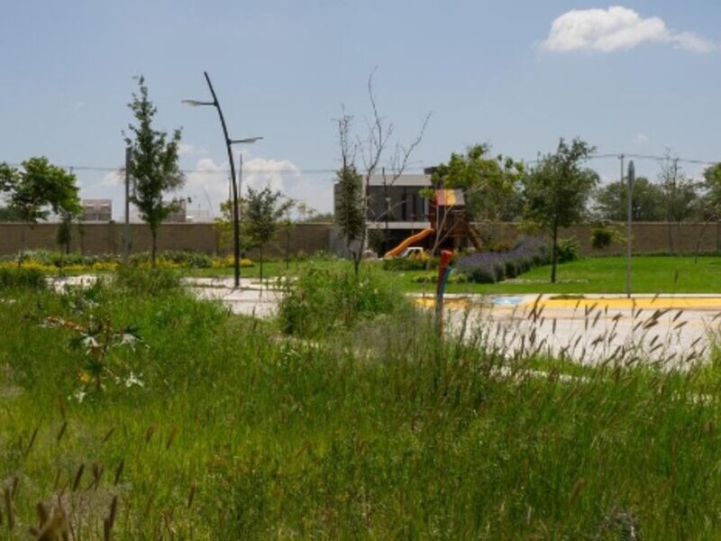 Terreno venta Palma Mediterranea León