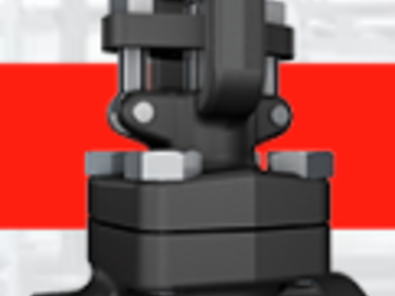 VÁLVULA API-602 MÉXICO