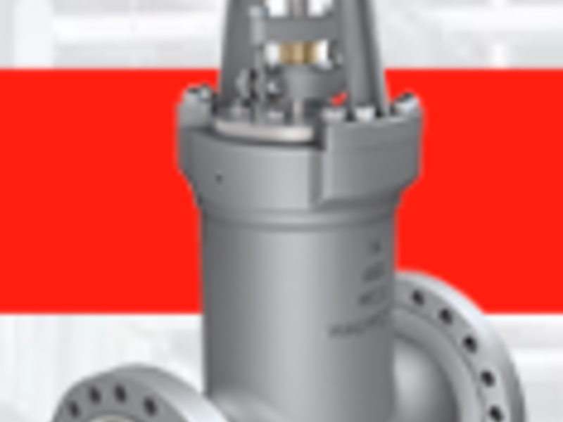 VÁLVULA Pressure Seal MÉXICO