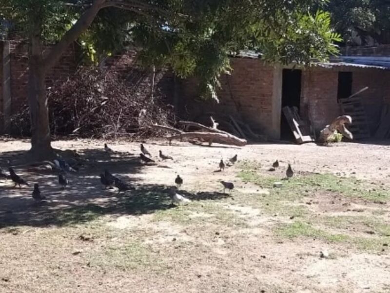 Venta Terreno Puerto Vallarta