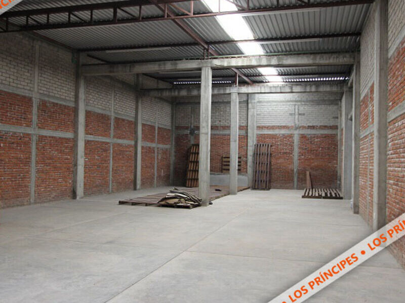Venta bodega Trinidad Viguera