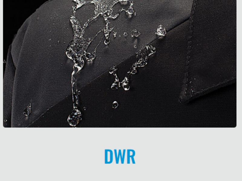 DWR