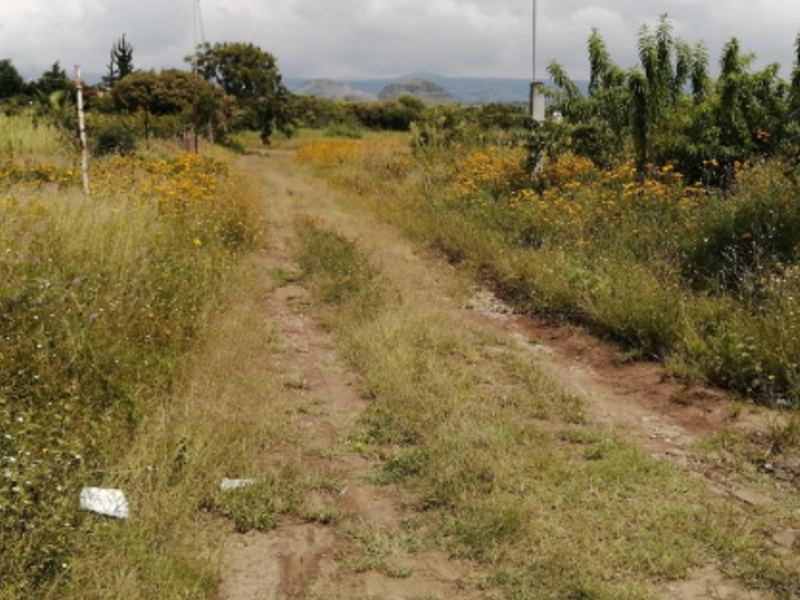 Terreno Tlayacapan