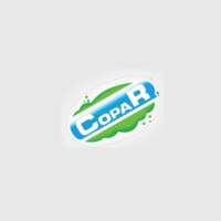 Grupo Industrial Copar, S.A. de C.V.
