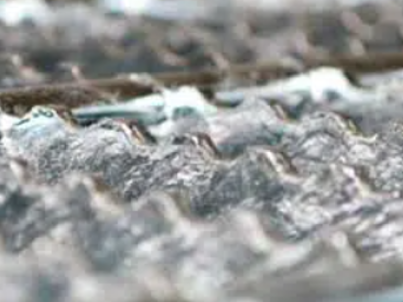 Rejillas Acero Dentadas Zapopan