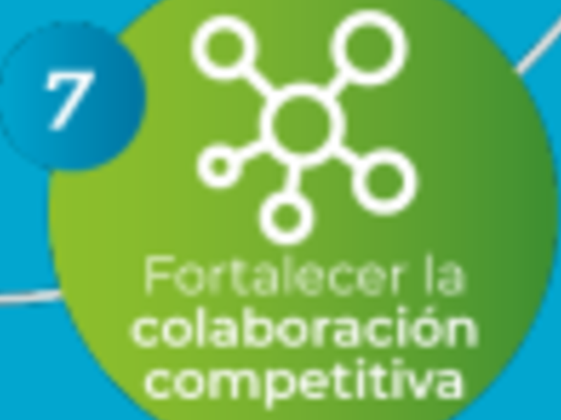 Colaboración competitiva