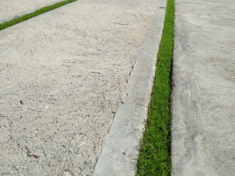 Pasto para Paisajismo en Mérida