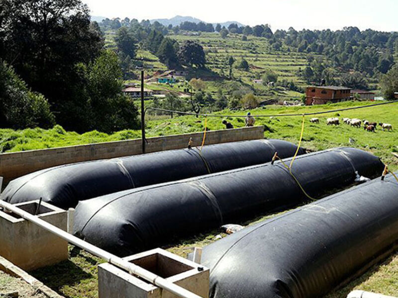 Biodigestores en San Luis de Potosí