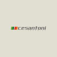 CESANTONI CERAMICAS