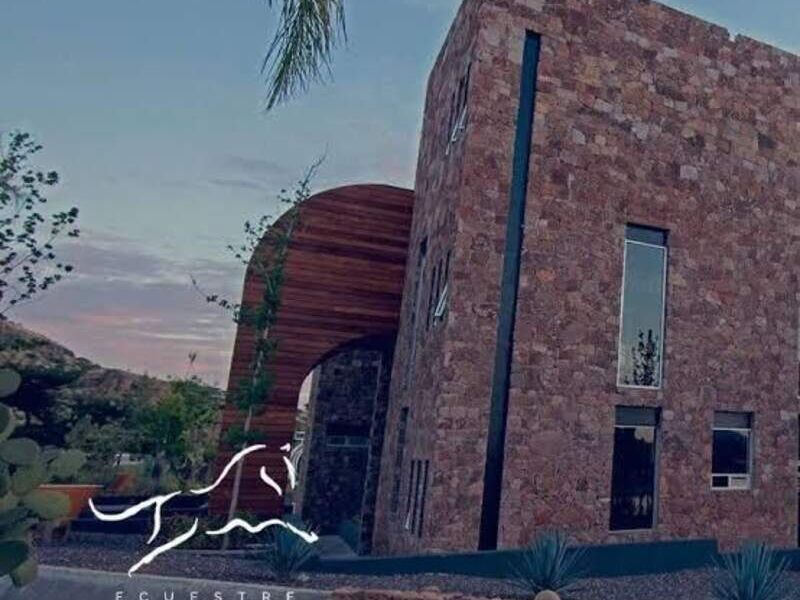 TERRENO AGAVES