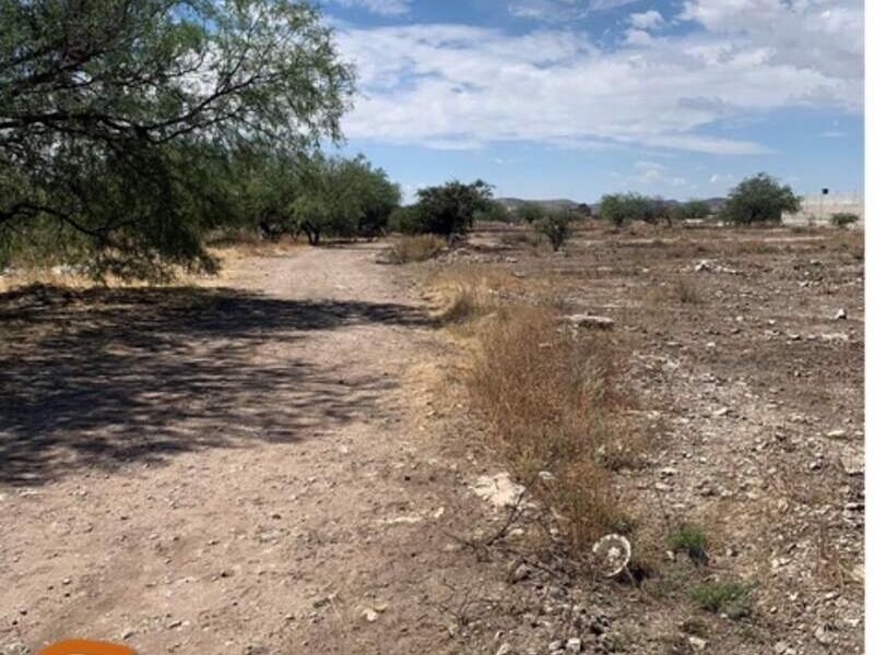 Terreno  venta Nacional Fresnillo