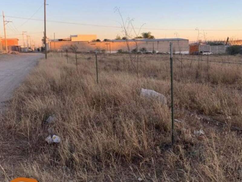 Terreno  venta martin Fresnillo