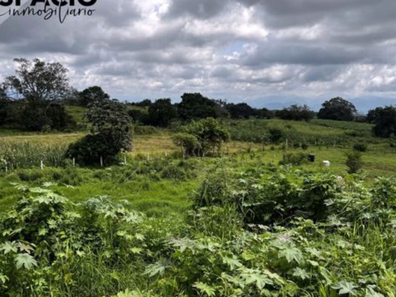 Venta Terrreno Colima