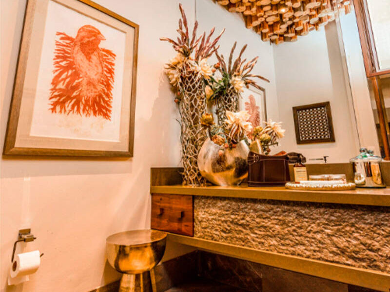 DECORACIÓN LUJOSA BAÑOS TORREON