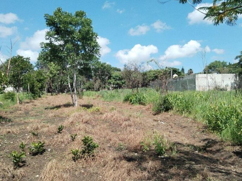 Venta terreno Santa Inés