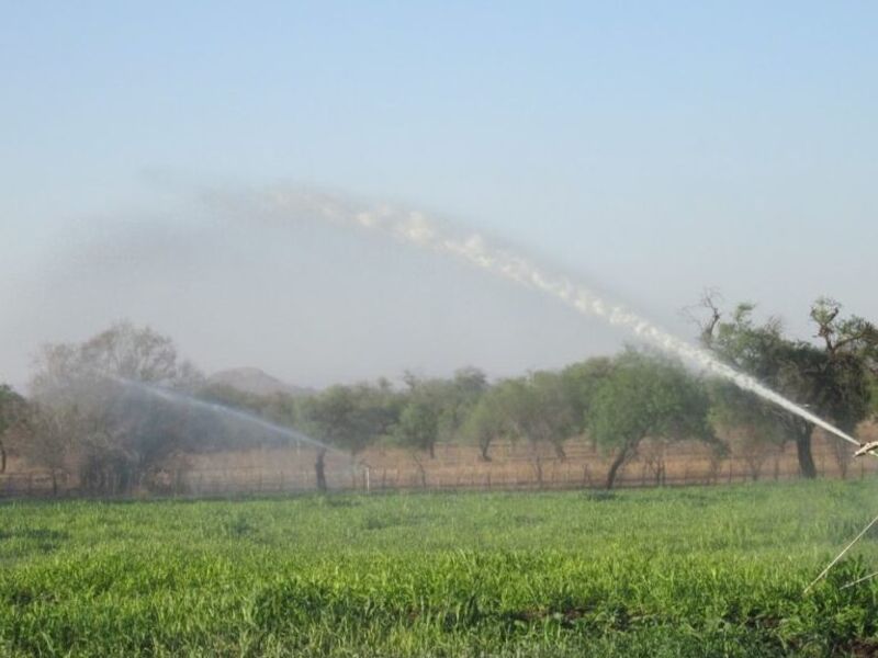 Siste de Riego en Hermosillo