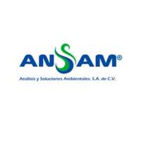 Ansam