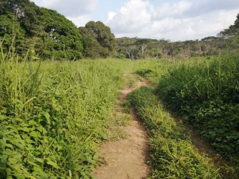 Venta terreno Huehuetan