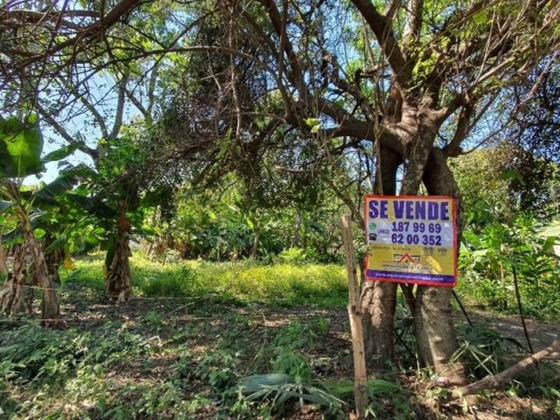 Venta terreno Col. Camino Pita
