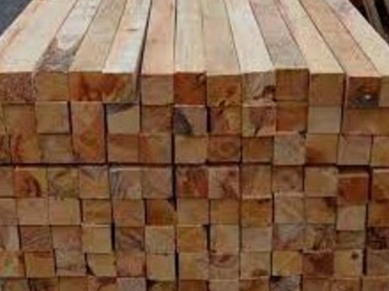 Polines de madera en Tuxtla
