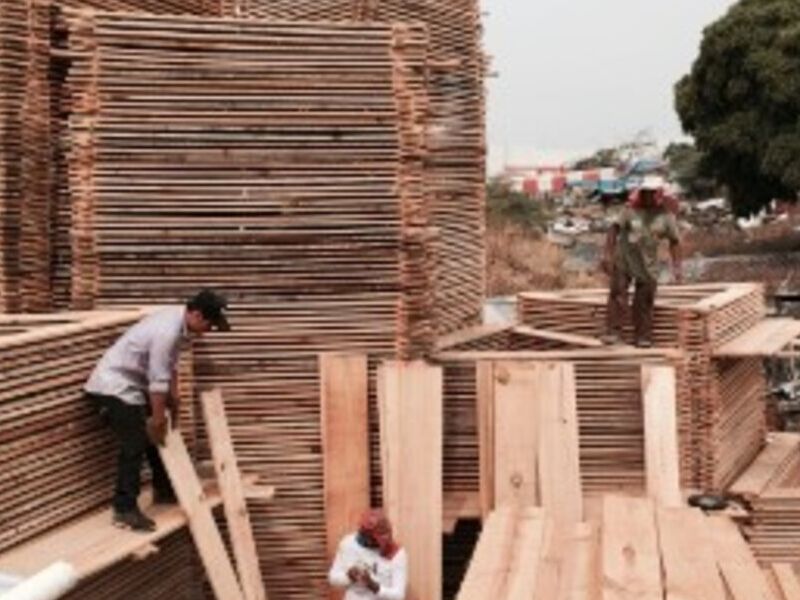 Madera en Tuxtla