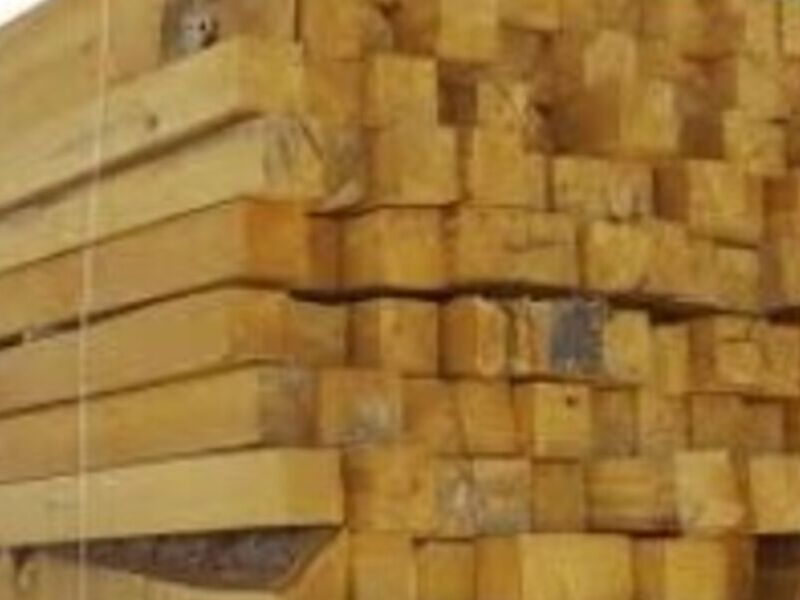 Polines en madera en Chiapas