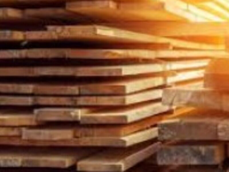 Madera de pino en Sonora 