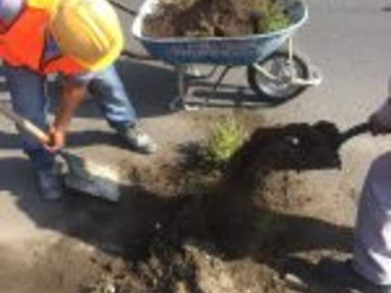 Excavación CDMX