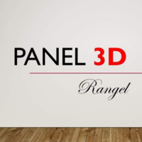Panel 3D Rangel
