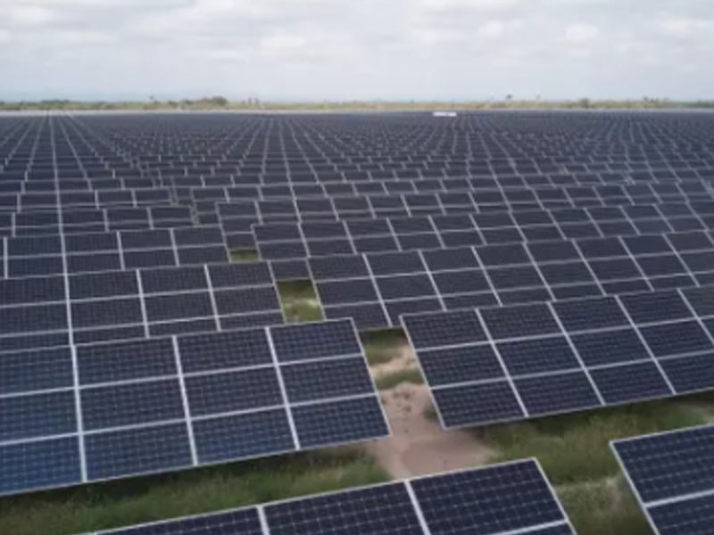 Revolución Solar, paneles solares