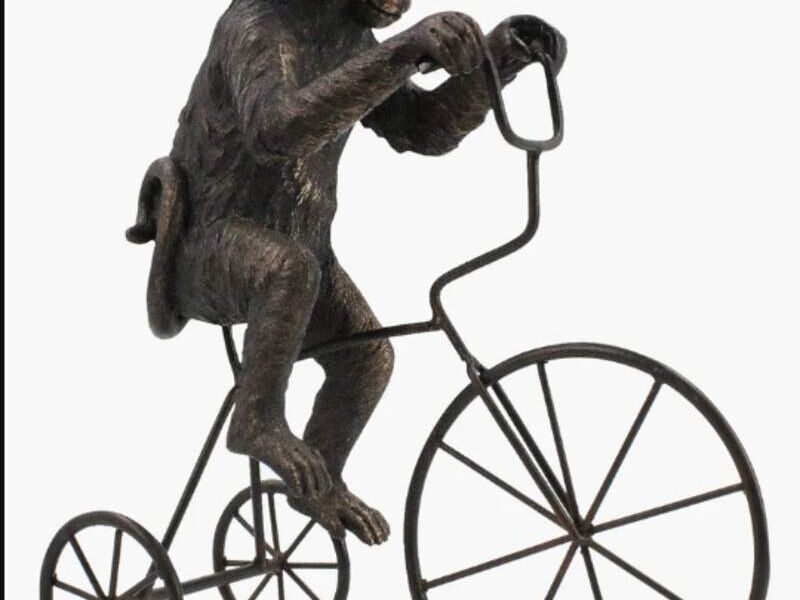 Mono loki en bicicleta México