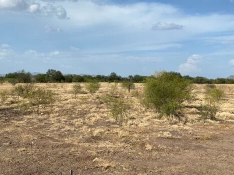 VENTA TERRENO MINITAS Hermosillo