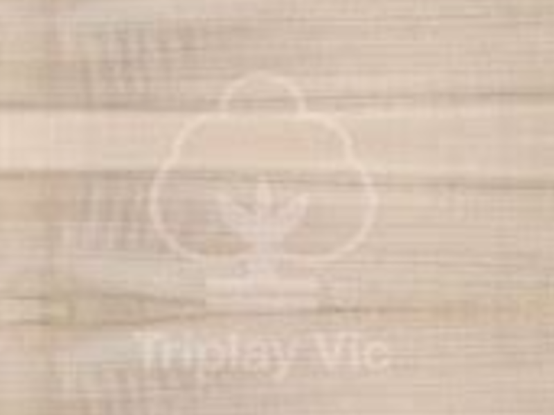 Triplay poplar Tijuana