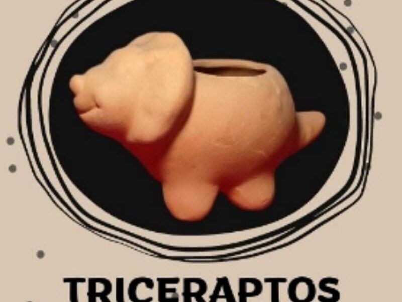 MACETA TRICERAPTOS MEXICO