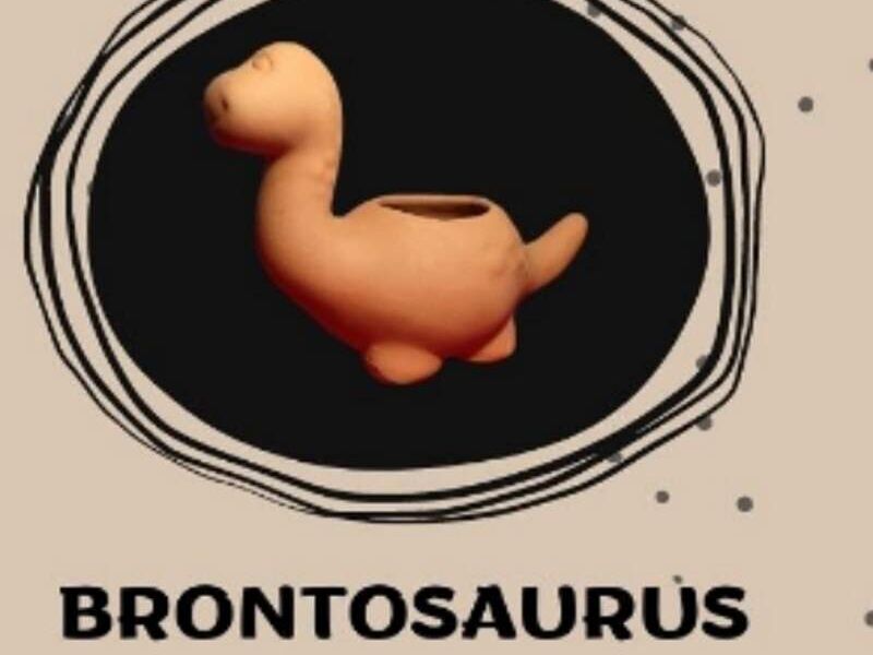 MACETA BRONTOSAURUS MEXICO