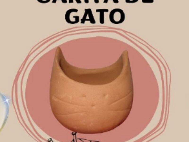 MACETA CARITA DE GATO MEXICO 