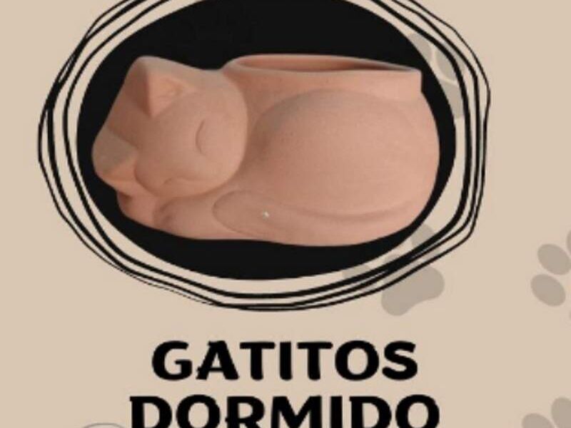 MACETA GATITO DORMIDO MEXICO