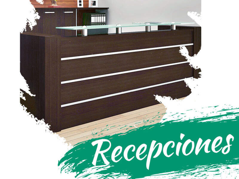 RECEPCION CDMX HIQUEVAMX