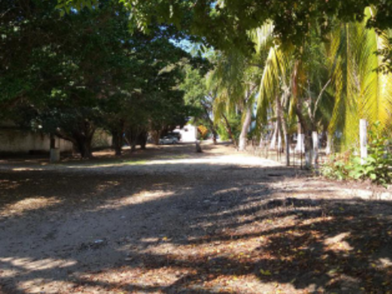 TERRENO AYALA